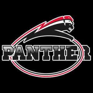 panther-black