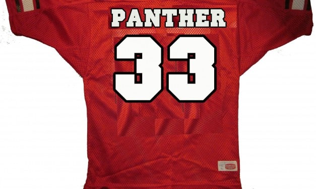 .. „retired numbers“ der Panther …