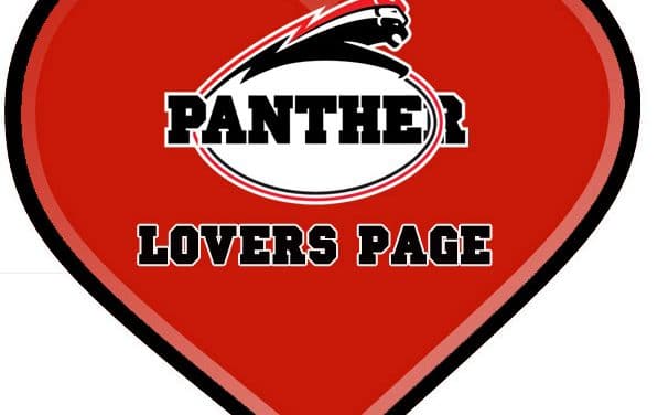 Panther Lovers Page – ein Versuch!